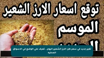 تغير جديد في سعر طن الأرز الشعير اليوم.. تعرف على الوضع في الأسواق المحلية